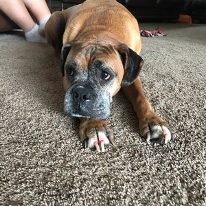 Meet your Posher, Jen